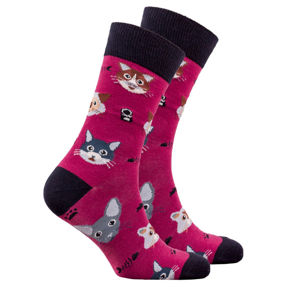 Men's Cute Cats Socks-Socks-Gentleman.Clothing