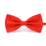 Flashy Collection Bow Ties - 21 Colors-Bowties-Gentleman.Clothing