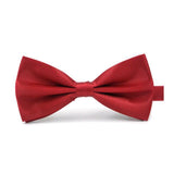 Flashy Collection Bow Ties - 21 Colors-Bowties-Gentleman.Clothing