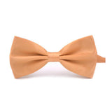 Flashy Collection Bow Ties - 21 Colors-Bowties-Gentleman.Clothing